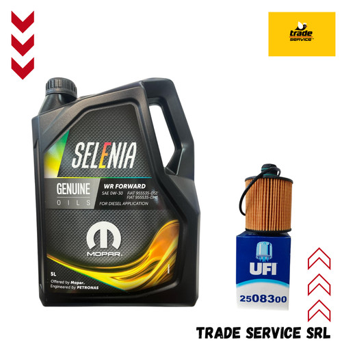 Olio petronas selenia - 5,